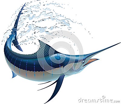 Blue Marlin Vector Illustration