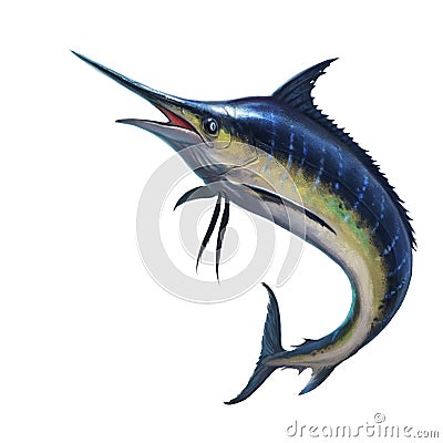 Blue marlin on a white background Stock Photo