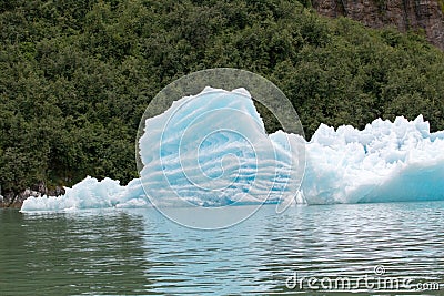 Blue Melting iceberg floating into Alaskan sea with green trees in the background Stock Photo
