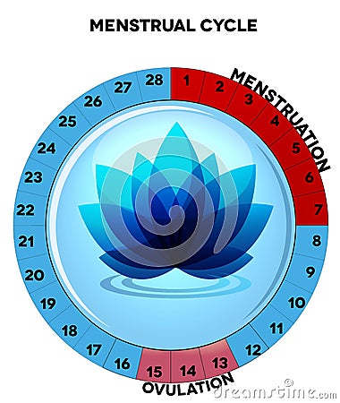 Blue menstrual cycle chart with flower Vector Illustration