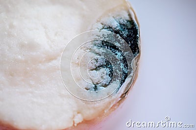 Blue mold on cottage cheese or yogurt. Improper storage of dairy products. Stock Photo