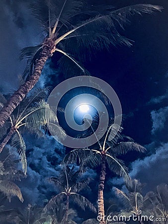 Blue Moon over Waikiki, Hawaii Stock Photo