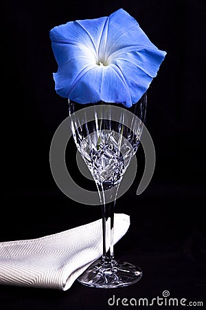 Blue morning glory flower with crystal glass Stock Photo