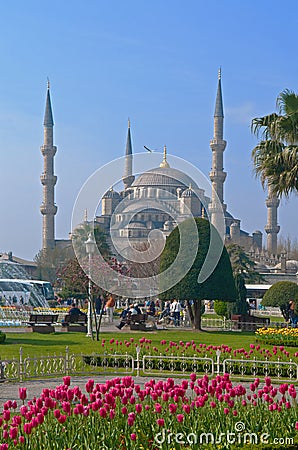 Blue Mosque with flowers in foreground Stock Photo