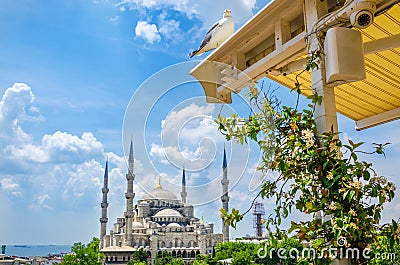 The Blue Mosque Sultanahmet Camii in Istanbul Stock Photo
