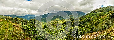 Blue mountains of Jamaica coffee growth place Stock Photo