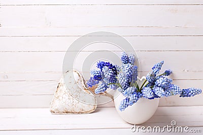 Blue muscaries flowers in vase and decorative heart on white Stock Photo