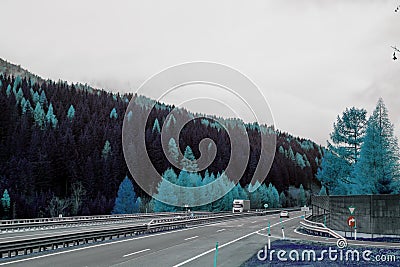 Blue mystically toned autumn forest over highway Stock Photo