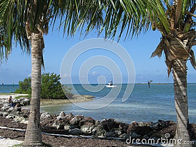 Blue Ocean framed by Palms Stock Photo