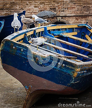 Blue old wooden fishing boat with seagulls close-up in the port of Essaouira, Morocco Stock Photo