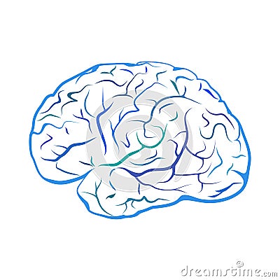 Blue outline brain mark. Vector Illustration