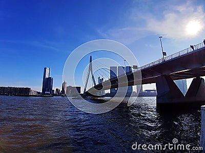 Blue panorama of the Erasmus bridge from Rotterdam on the river Editorial Stock Photo