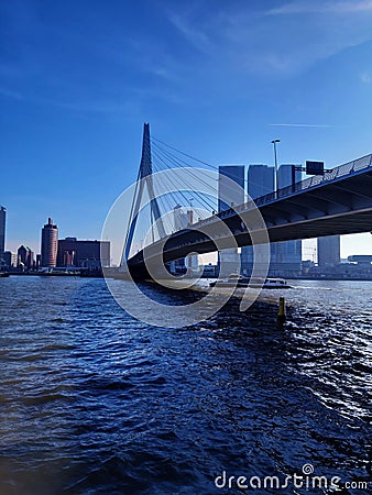 Blue panorama of the Erasmus bridge from Rotterdam on the river Editorial Stock Photo
