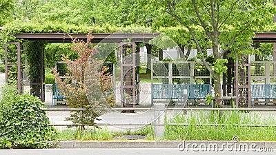 Blue park benches and plants near car road Stock Photo