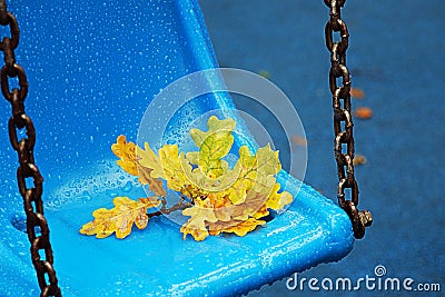 Blue park swing in the rain. Yellow oak leaves, autumn park, Stock Photo