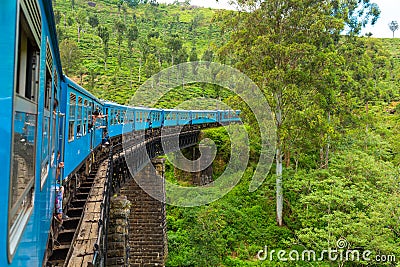 A blue passenger train moves through the jungle of Sri Lanka Editorial Stock Photo