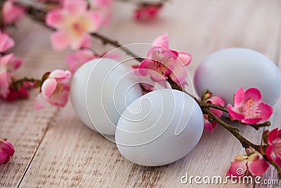 Blue Pastel Easter Eggs and Cherry Blossoms on White Wood Background Stock Photo