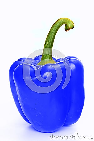 Blue pepper Stock Photo