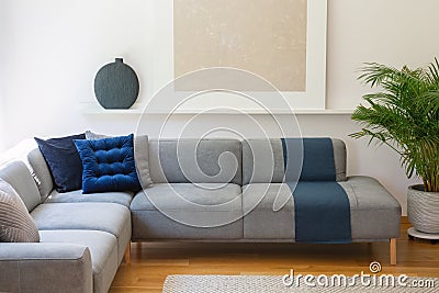 Blue pillows on grey corner couch in living room interior with p Stock Photo