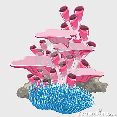 Blue and pink corals, tubular microorganisms Vector Illustration