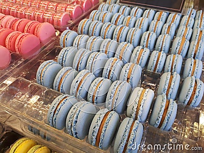 Blue and pink macaroons close up Stock Photo