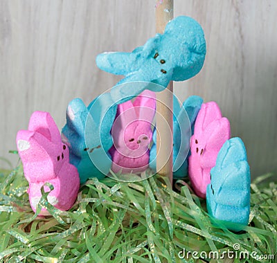 Easter bunny marshmallow peeps on stripper pole, Stock Photo