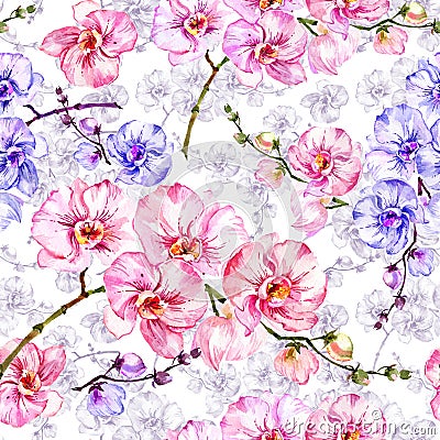 Blue and pink orchid flowers with outlines on white background. Seamless floral pattern. Watercolor painting. Cartoon Illustration