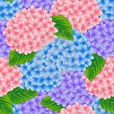 Blue, Pink and Purple Hydrangea Flower Seamless Background. Vector Illustration Vector Illustration