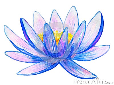 Blue pink water lily. Hand drawn watercolor illustration. Isolated on white background Stock Photo