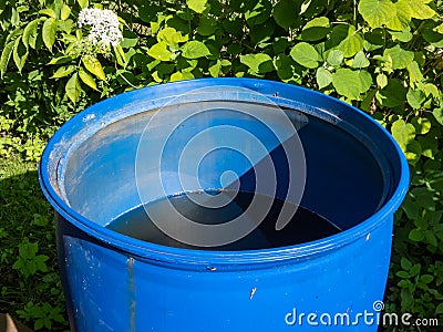 Blue, plastic water barrel reused for collecting and storing rainwater for watering plants partly emptied during summer day Stock Photo