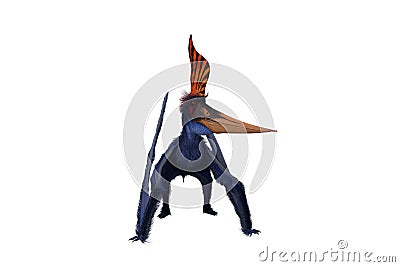 Blue Pteranodon with orange crest standing with wings folded. 3D illustration isolated on white with clipping path Stock Photo