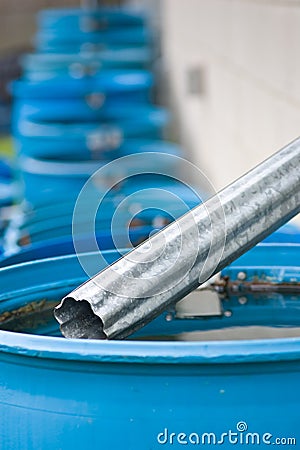 Blue rain barrels in a row flowing into each other Stock Photo