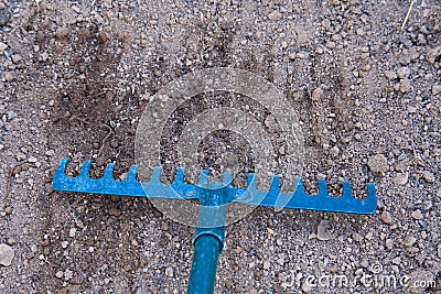 Blue rake in dry soil contrast of color Stock Photo