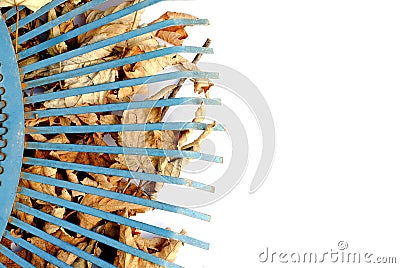 Blue rake over yellow dried leaves Stock Photo