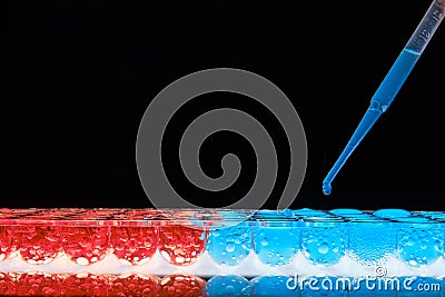 Blue and red rows with liquid filled up pipette Stock Photo