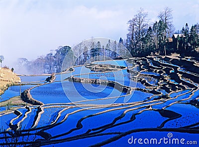 Blue rice terraces of yuanyang Stock Photo