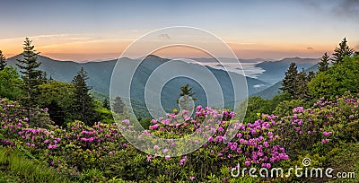 Blue Ridge Mountains, Rhododendron, sunrise Stock Photo