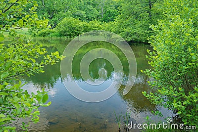 A Springtime View of Little Glade Mill Pond Stock Photo