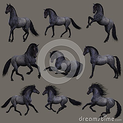 Blue Roan Horse, 3d CG Stock Photo