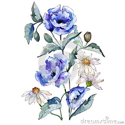 Blue rose and daisy flowers bouquet on white background. Watercolor illustration set. Isolated illustration element. Cartoon Illustration