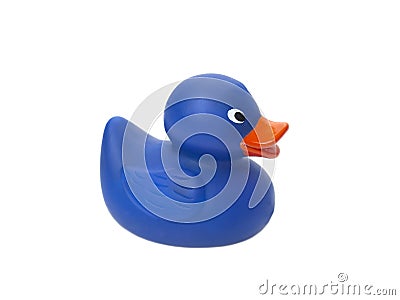 Blue rubber ducky Stock Photo