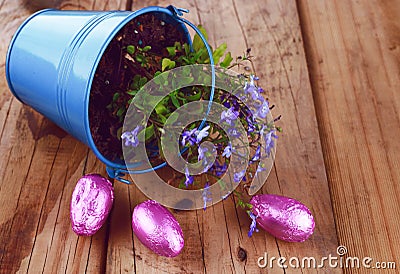 Blue rustic bucket with spring flowers and Easter eggs on wooden background Stock Photo