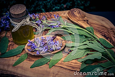 Blue sage salvia Stock Photo