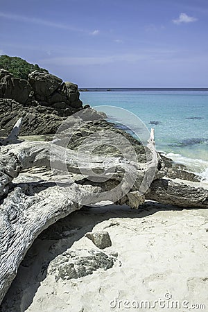 Blue sea bay. Azure transparent sea water. White sand beach and old fallen tree. Stock Photo