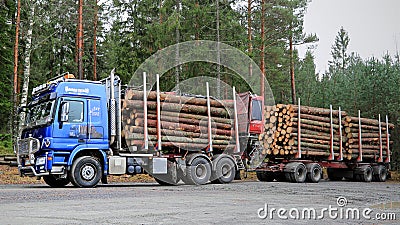 Blue Sisu Polar Timber Truck with Trailers Full of Spruce Logs Editorial Stock Photo