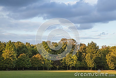 The blue skies over the park. Stock Photo