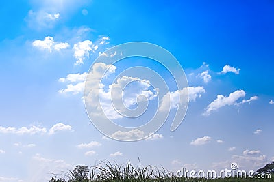 Blue sky background with white clouds group pattern , grass and treetop Stock Photo