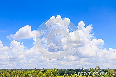 Blue sky background and white clouds over the green forest Stock Photo
