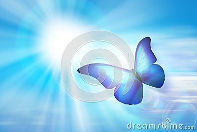 Blue Sky Butterfly Stock Photo