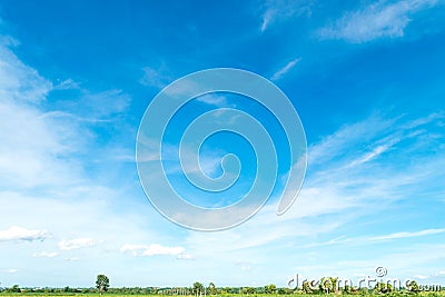 Blue sky and cloud with tree. Stock Photo